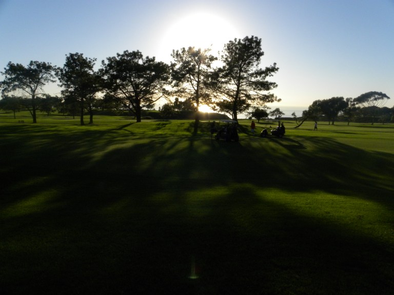 18- TorreyPines