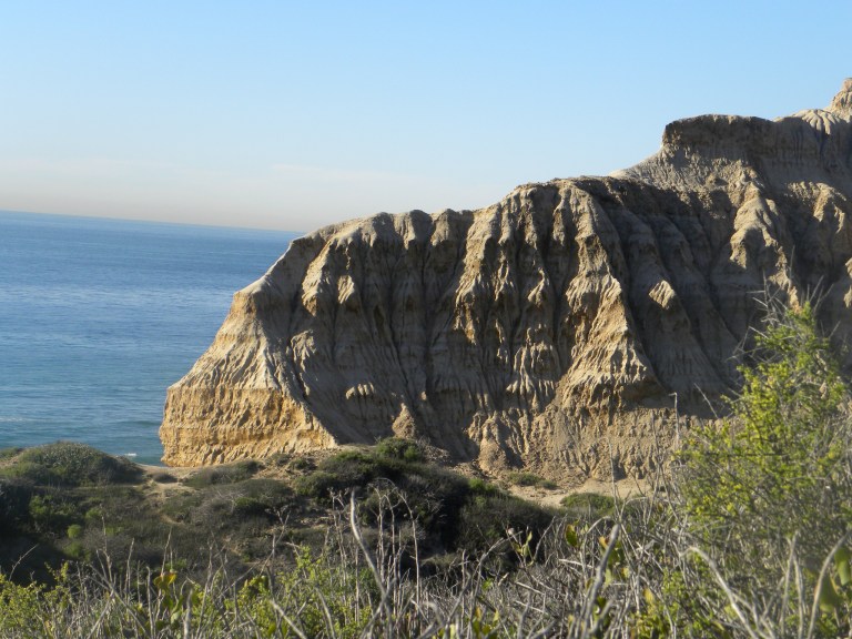 20- TorreyPines
