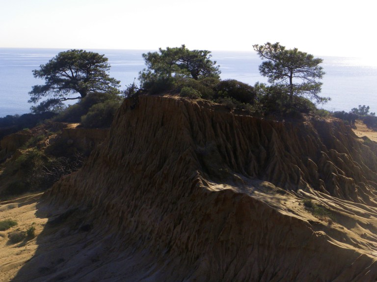 7- TorreyPines